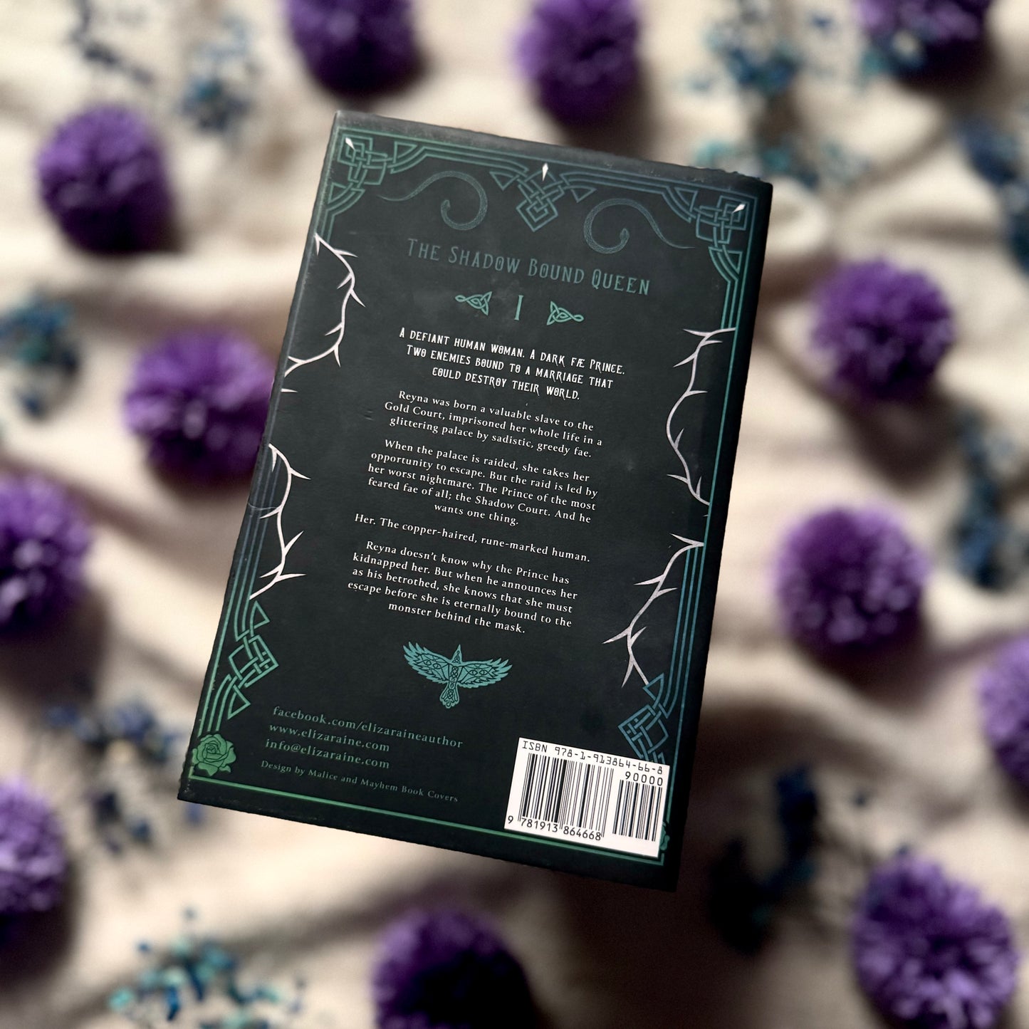 Court of Ravens and Ruin: The Shadow Bound Queen Book 1 Special Edition