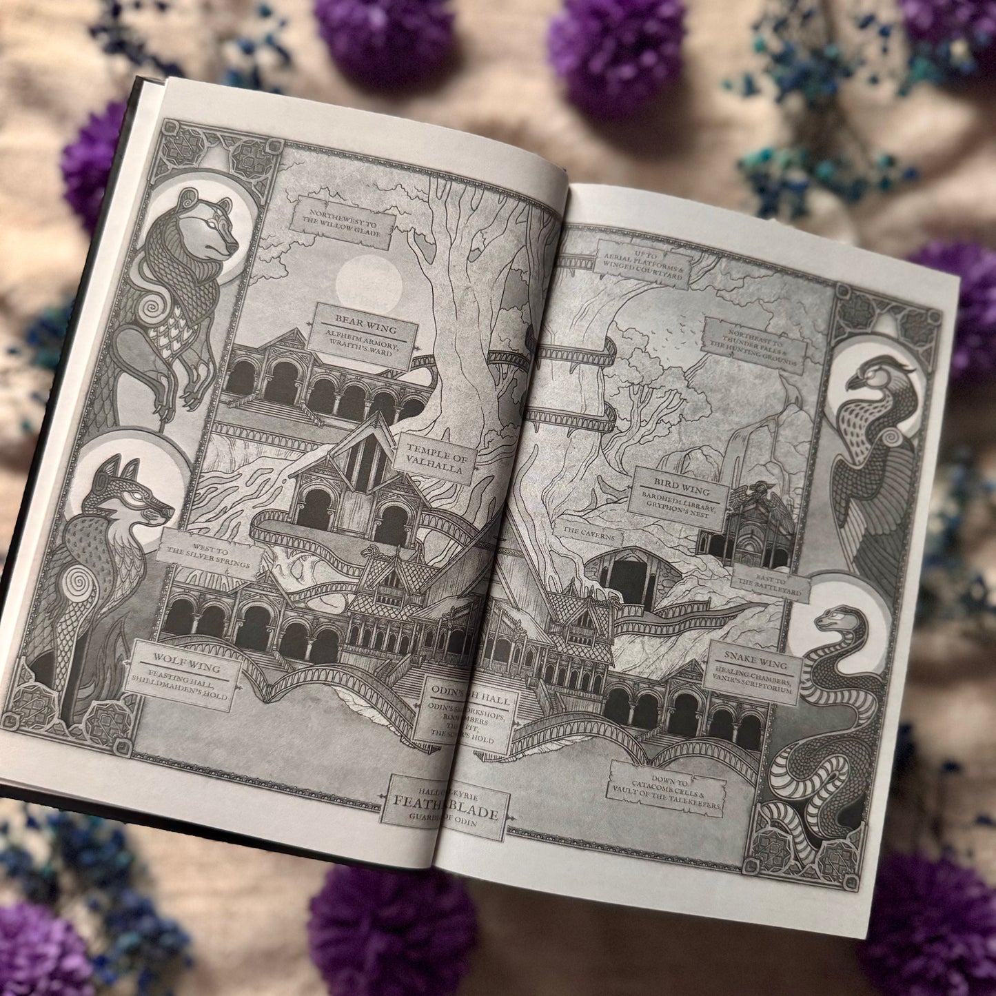 Of Frost and Feather: Flame Cursed Fae Book 2 Special Edition