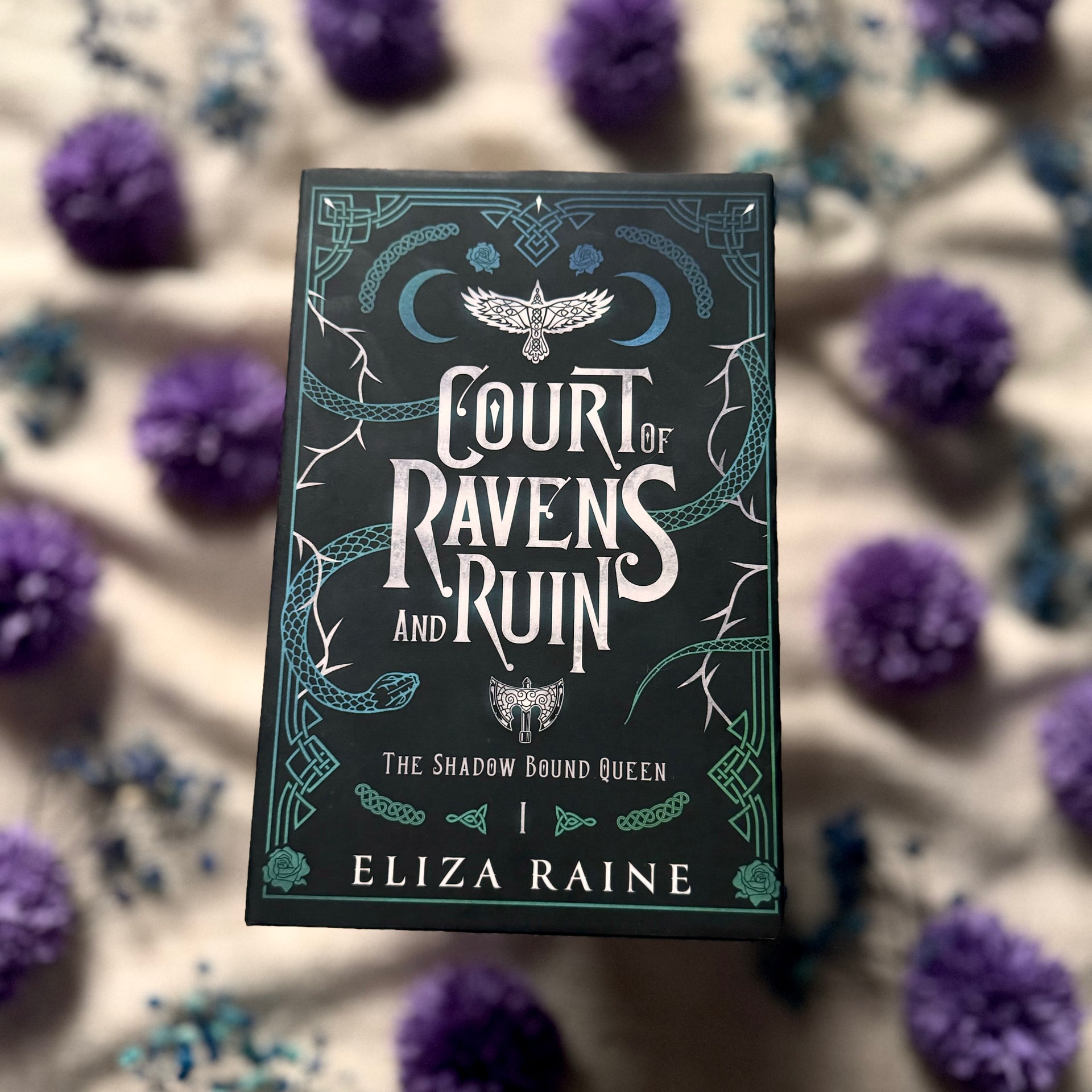 Court of Ravens and Ruin: The Shadow Bound Queen Book 1 Special