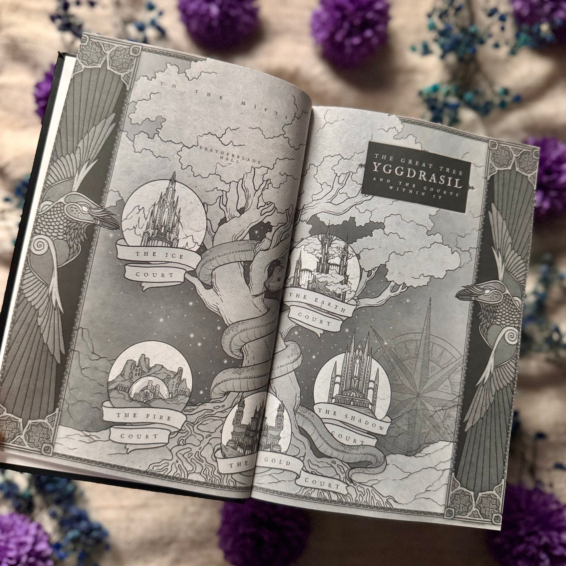 a court of monsters and malice Court of Monsters and Malice: The Shadow Bound Queen Book 3 Special Edition - Case Bound